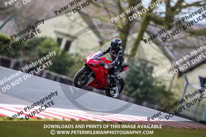 Oulton Park 21st March 2020;PJ Motorsport Photography 2020;anglesey;brands hatch;cadwell park;croft;donington park;enduro digital images;event digital images;eventdigitalimages;mallory;no limits;oulton park;peter wileman photography;racing digital images;silverstone;snetterton;trackday digital images;trackday photos;vmcc banbury run;welsh 2 day enduro